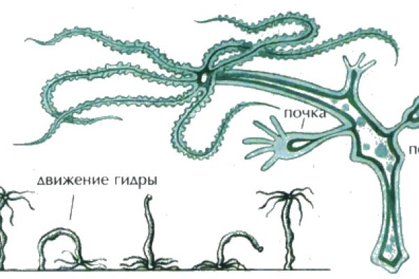 Украли аккаунт на кракене даркнет