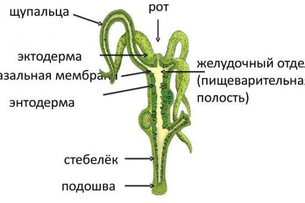 Кракен маркет