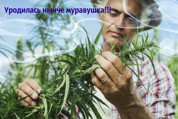 Кракен 2krnk cc