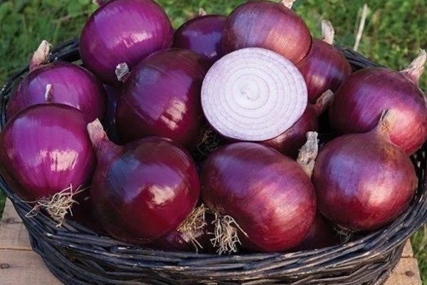 Кракен сайт kr2web in