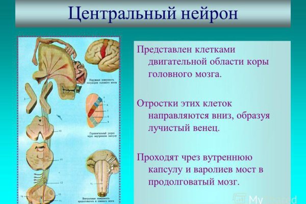 Кракен at сегодня работает ли