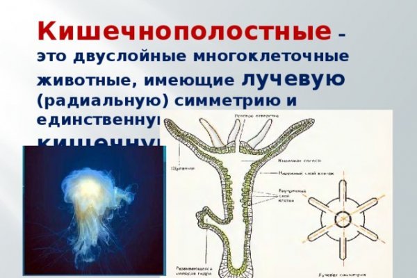 Кракен магазин нарко